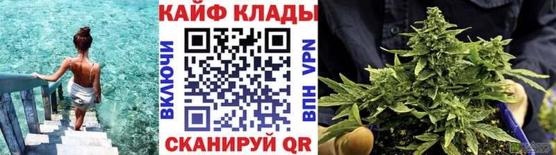 Наркошоп купить Бошки Шишки  Псилоцибиновые грибы  Alpha PVP  ГАШ  КОКАИН  МЕФ  Аргун