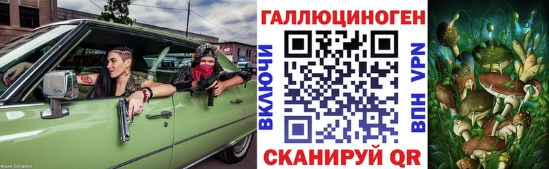 Купить где  Аргун  Псилоцибиновые грибы прущие грибы 