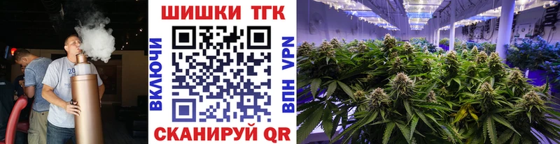 Бошки Шишки сатива  Купить закладки  Аргун 